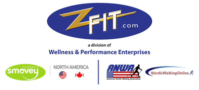 What is ZFIT?