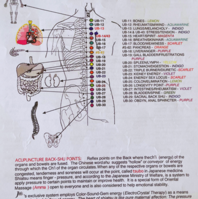 Electromagnetic Full Body Lymphatic Drainage