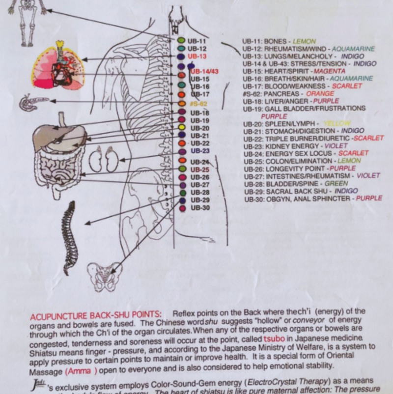 Electromagnetic Full Body Lymphatic Drainage